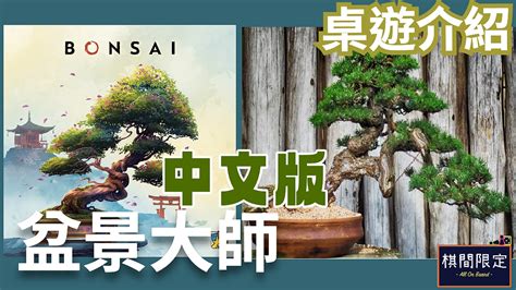 bonsai 意思|BONSAI中文(繁體)翻譯：劍橋詞典